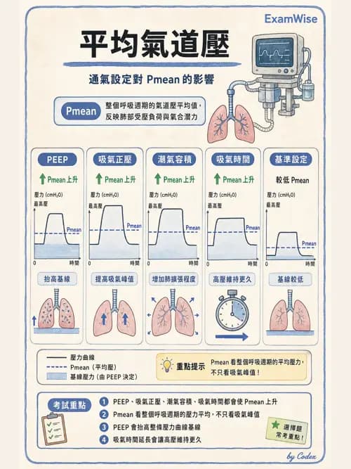 呼吸治療師 - 機械通氣生理 - AI 圖文解析預覽