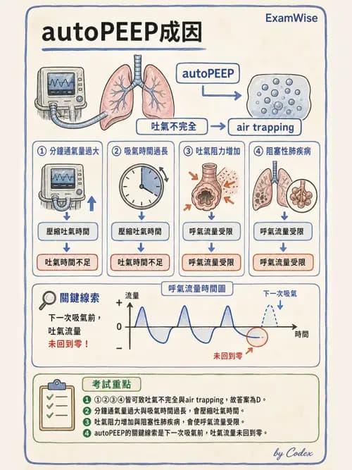 呼吸治療師 - 正壓通氣生理影響與合併症 - AI 圖文解析預覽