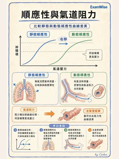 呼吸治療師 - 呼吸器圖形判讀與故障排除 - AI 圖文解析預覽