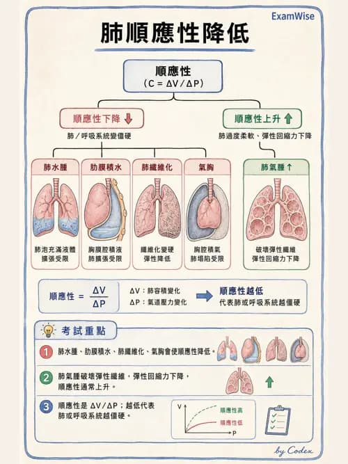 呼吸治療師 - 機械通氣生理 - AI 圖文解析預覽
