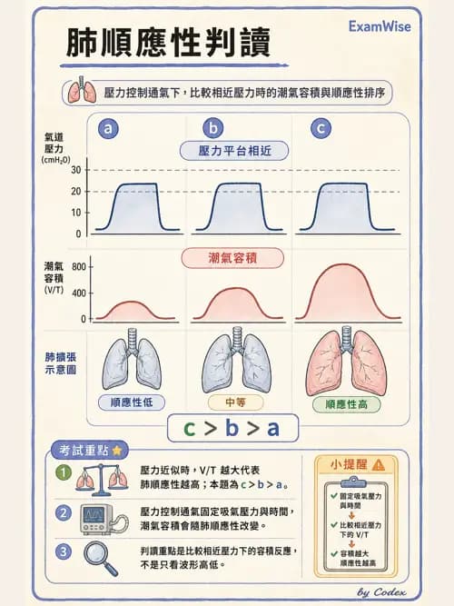呼吸治療師 - 呼吸器圖形判讀與故障排除 - AI 圖文解析預覽