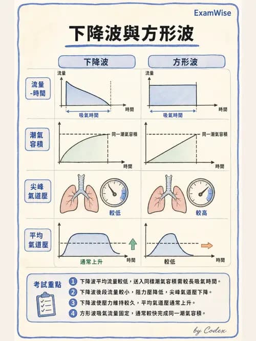 呼吸治療師 - 臨床設定、參數調整與脫離 - AI 圖文解析預覽
