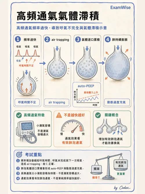 呼吸治療師 - 呼吸器設計與通氣模式 - AI 圖文解析預覽