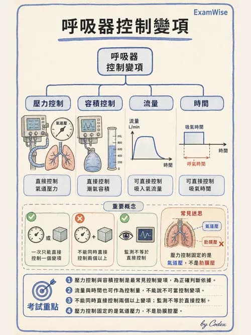 呼吸治療師 - 呼吸器設計與通氣模式 - AI 圖文解析預覽