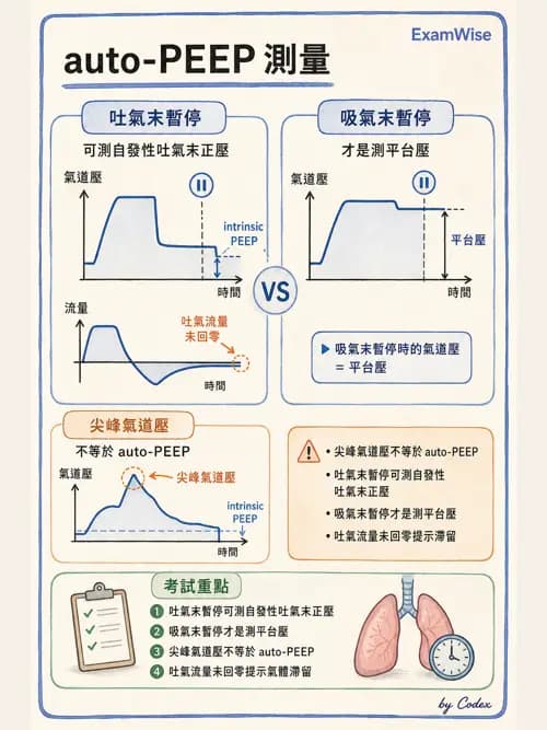呼吸治療師 - 機械通氣生理 - AI 圖文解析預覽