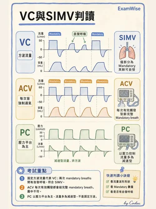 呼吸治療師 - 呼吸器設計與通氣模式 - AI 圖文解析預覽