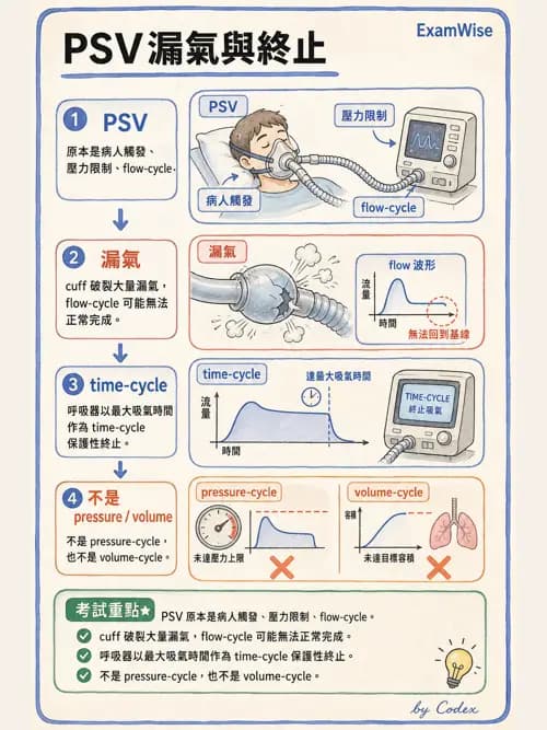 呼吸治療師 - 呼吸器設計與通氣模式 - AI 圖文解析預覽
