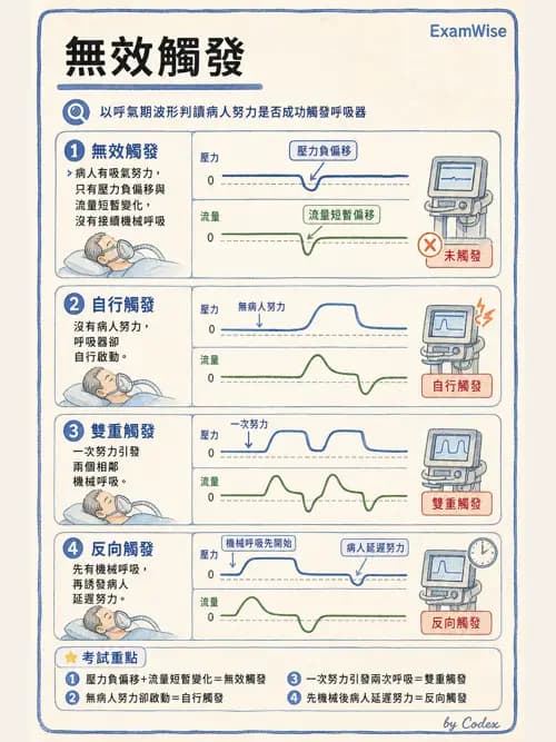 呼吸治療師 - 呼吸器設計與通氣模式 - AI 圖文解析預覽
