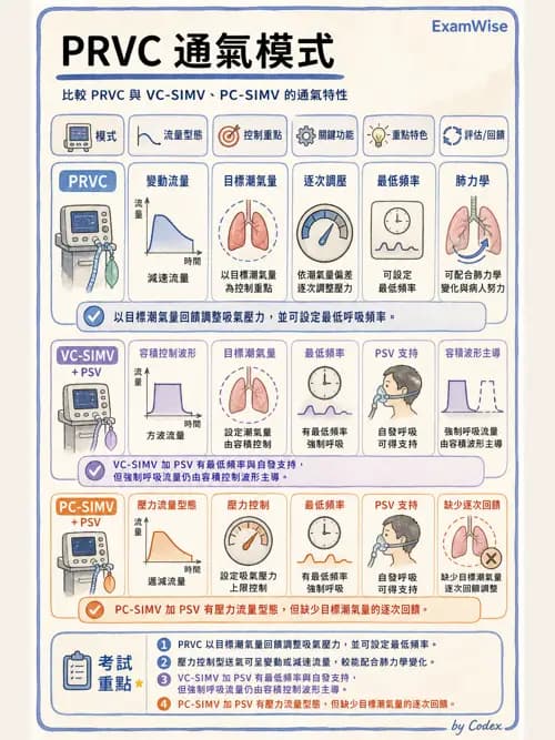 呼吸治療師 - 呼吸器設計與通氣模式 - AI 圖文解析預覽