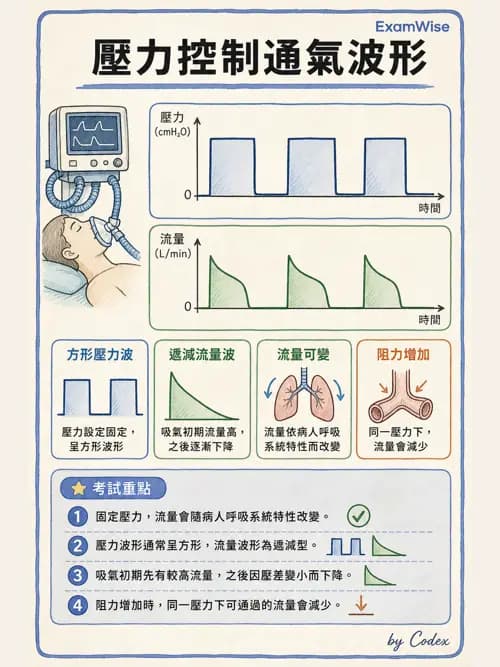 呼吸治療師 - 呼吸器設計與通氣模式 - AI 圖文解析預覽