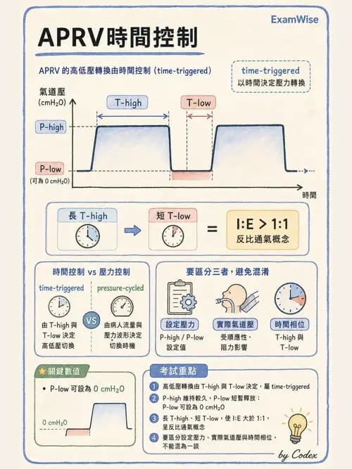 呼吸治療師 - 呼吸器設計與通氣模式 - AI 圖文解析預覽