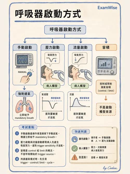 呼吸治療師 - 呼吸器設計與通氣模式 - AI 圖文解析預覽
