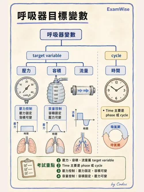 呼吸治療師 - 呼吸器設計與通氣模式 - AI 圖文解析預覽