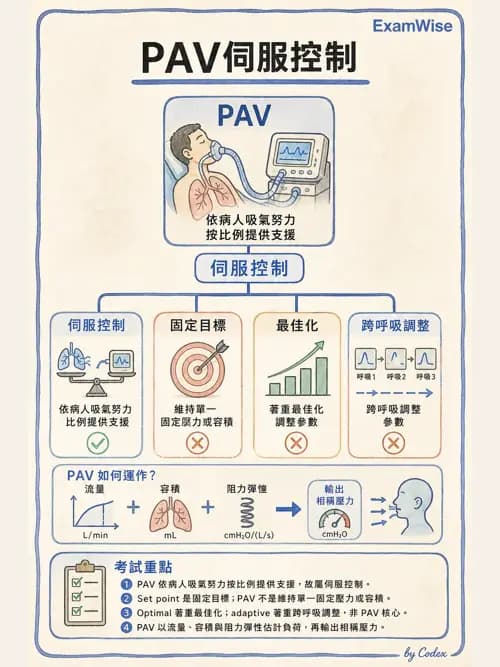 呼吸治療師 - 呼吸器設計與通氣模式 - AI 圖文解析預覽