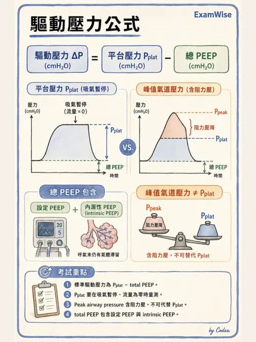 呼吸治療師 - 機械通氣生理 - AI 圖文解析預覽