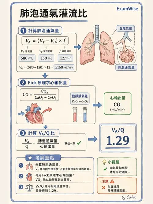 呼吸治療師 - 呼吸器監測與評估 - AI 圖文解析預覽