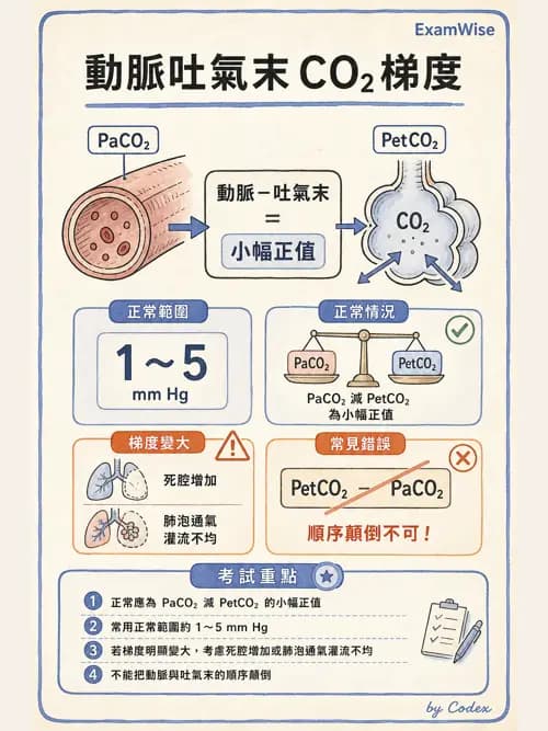 呼吸治療師 - 呼吸器監測與評估 - AI 圖文解析預覽