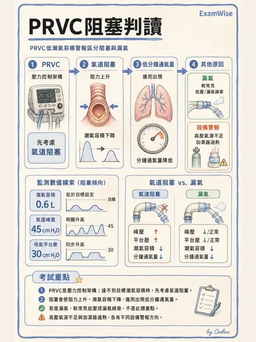 呼吸治療師 - 呼吸器圖形判讀與故障排除 - AI 圖文解析預覽