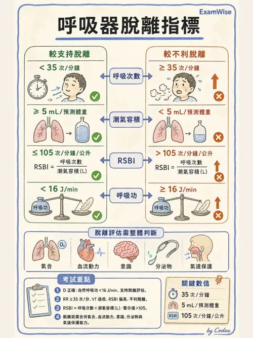 呼吸治療師 - 臨床設定、參數調整與脫離 - AI 圖文解析預覽