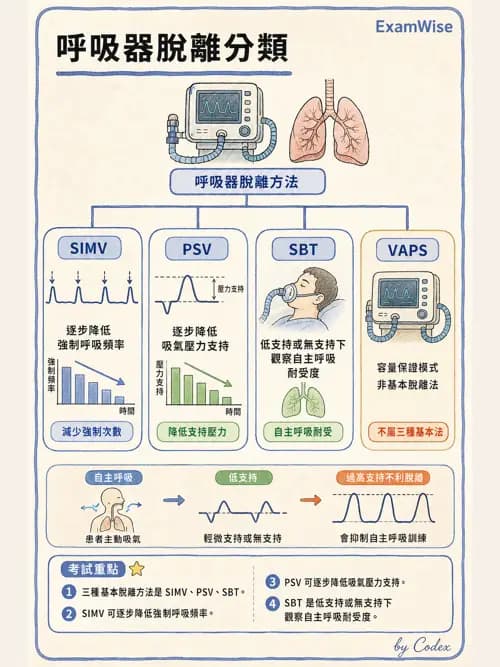 呼吸治療師 - 臨床設定、參數調整與脫離 - AI 圖文解析預覽