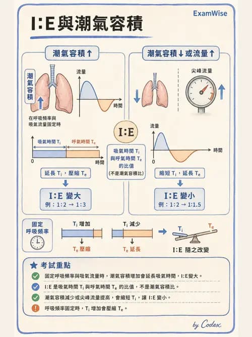 呼吸治療師 - 臨床設定、參數調整與脫離 - AI 圖文解析預覽