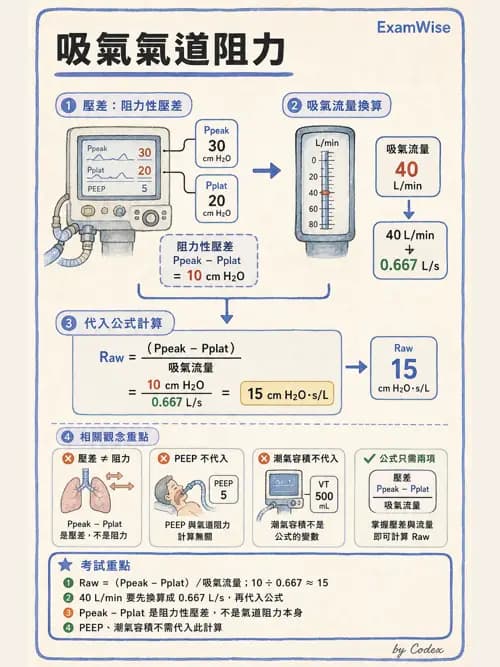 呼吸治療師 - 機械通氣生理 - AI 圖文解析預覽