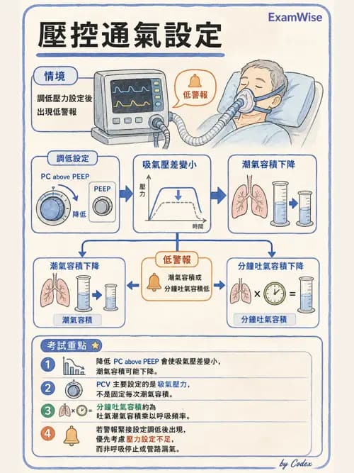 呼吸治療師 - 呼吸器圖形判讀與故障排除 - AI 圖文解析預覽
