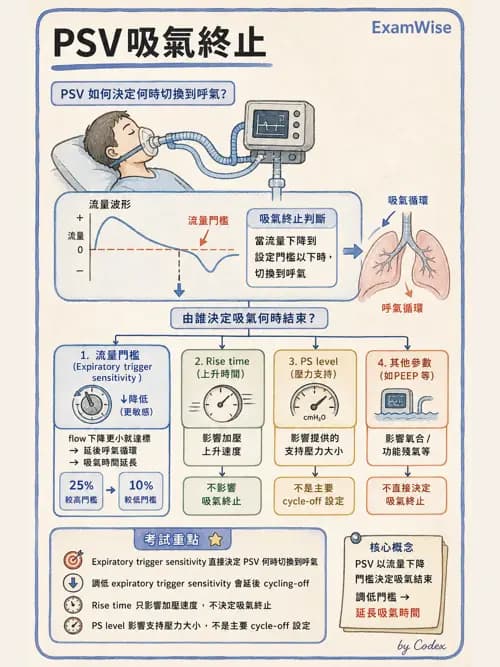 呼吸治療師 - 臨床設定、參數調整與脫離 - AI 圖文解析預覽