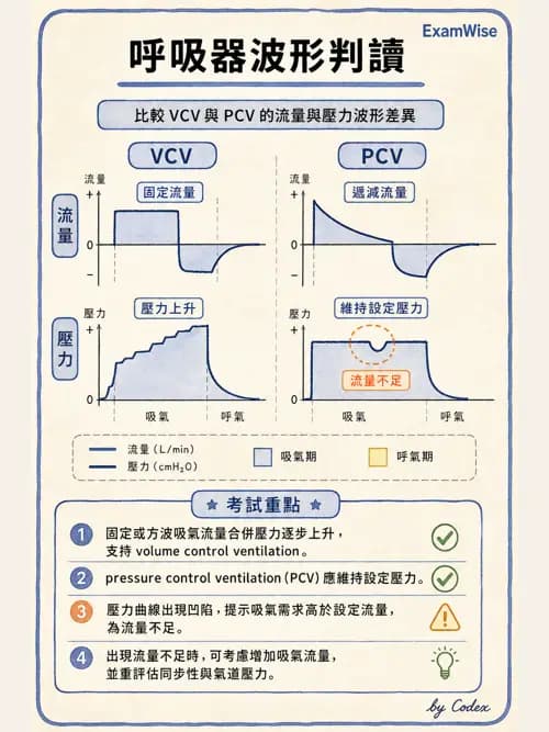 呼吸治療師 - 呼吸器圖形判讀與故障排除 - AI 圖文解析預覽