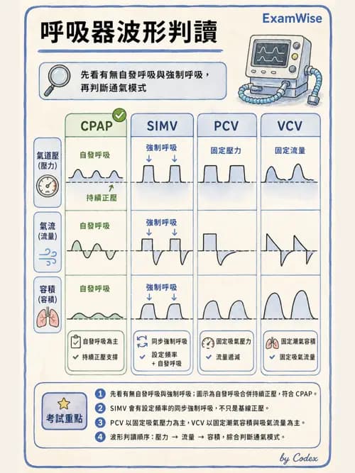 呼吸治療師 - 呼吸器圖形判讀與故障排除 - AI 圖文解析預覽