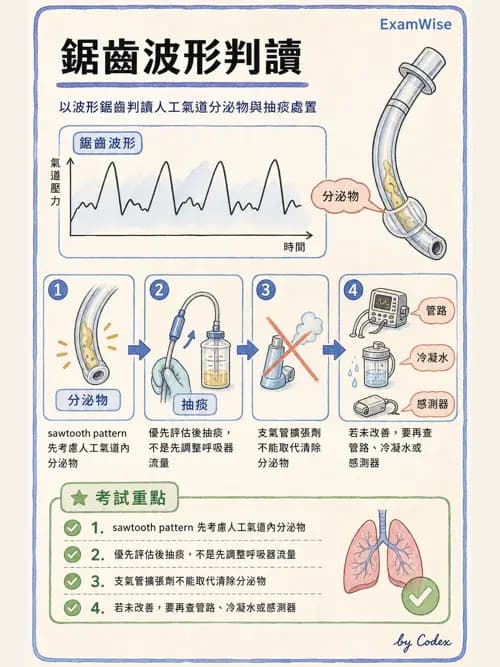 呼吸治療師 - 呼吸器圖形判讀與故障排除 - AI 圖文解析預覽
