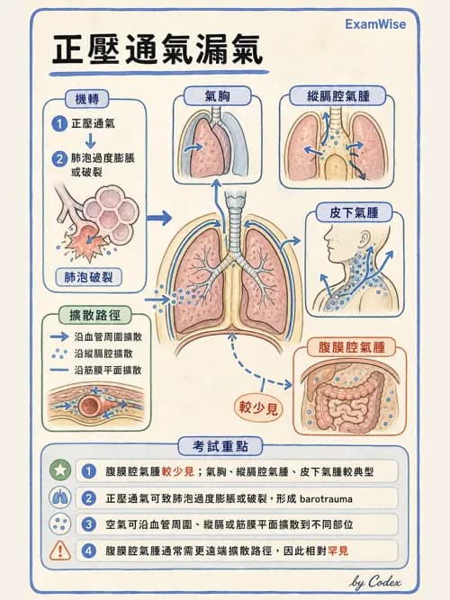呼吸治療師 - 正壓通氣生理影響與合併症 - AI 圖文解析預覽