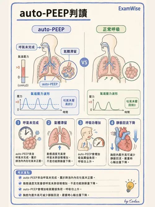 呼吸治療師 - 正壓通氣生理影響與合併症 - AI 圖文解析預覽