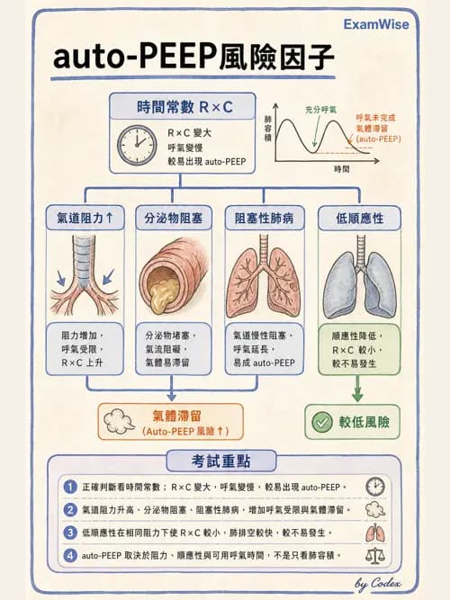 呼吸治療師 - 正壓通氣生理影響與合併症 - AI 圖文解析預覽