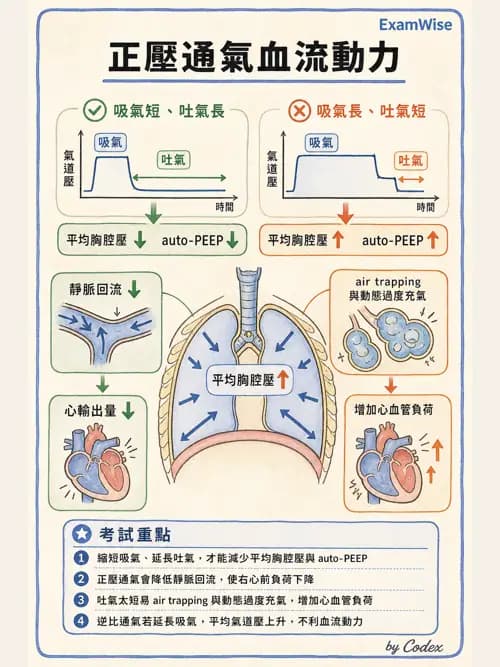 呼吸治療師 - 正壓通氣生理影響與合併症 - AI 圖文解析預覽