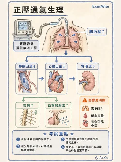呼吸治療師 - 正壓通氣生理影響與合併症 - AI 圖文解析預覽