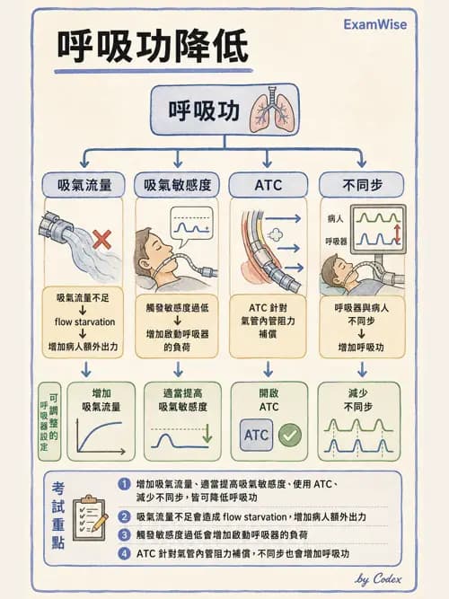 呼吸治療師 - 臨床設定、參數調整與脫離 - AI 圖文解析預覽