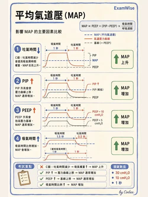 呼吸治療師 - 機械通氣生理 - AI 圖文解析預覽