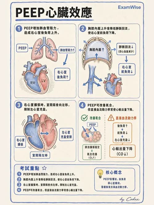 呼吸治療師 - 正壓通氣生理影響與合併症 - AI 圖文解析預覽