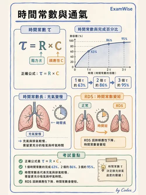 呼吸治療師 - 小兒呼吸器支持 - AI 圖文解析預覽