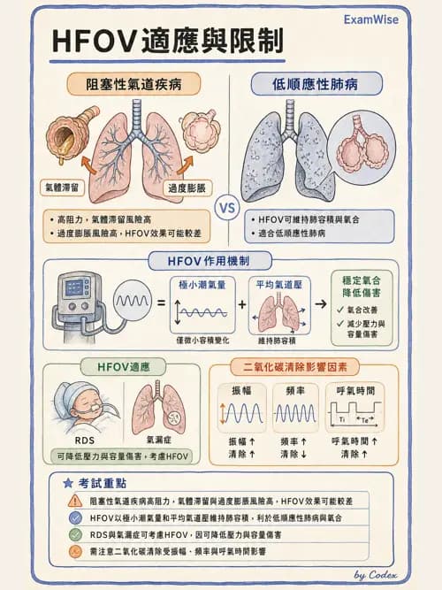 呼吸治療師 - 小兒呼吸器支持 - AI 圖文解析預覽