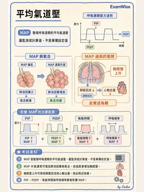 呼吸治療師 - 小兒呼吸器支持 - AI 圖文解析預覽