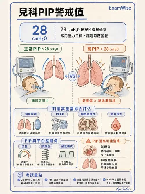 呼吸治療師 - 小兒呼吸器支持 - AI 圖文解析預覽
