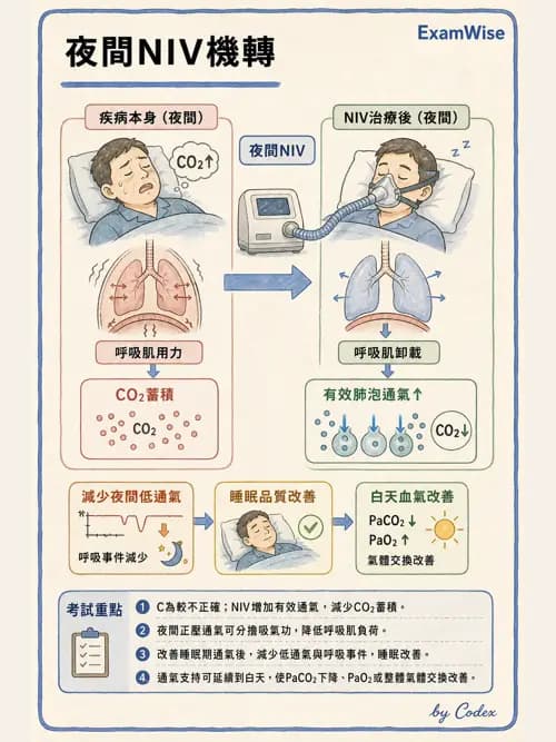 呼吸治療師 - 非侵襲性與居家通氣 - AI 圖文解析預覽