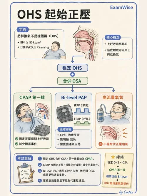 呼吸治療師 - 非侵襲性與居家通氣 - AI 圖文解析預覽