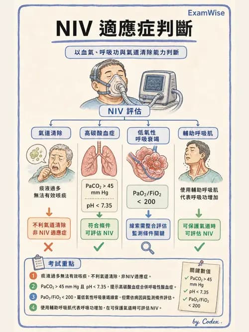 呼吸治療師 - 非侵襲性與居家通氣 - AI 圖文解析預覽