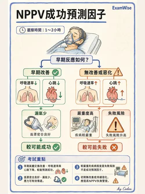 呼吸治療師 - 非侵襲性與居家通氣 - AI 圖文解析預覽