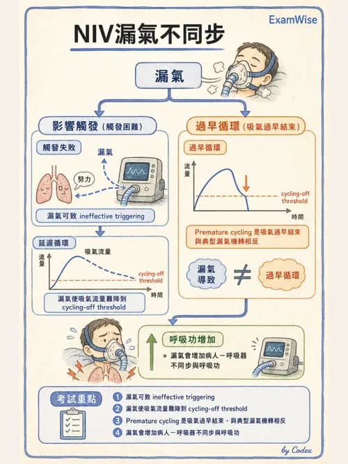 呼吸治療師 - 非侵襲性與居家通氣 - AI 圖文解析預覽