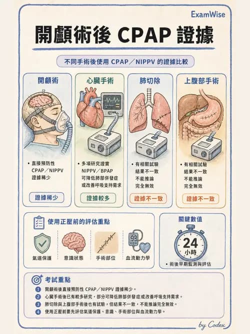 呼吸治療師 - 非侵襲性與居家通氣 - AI 圖文解析預覽