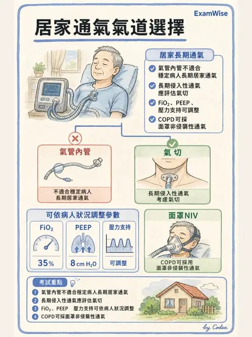 呼吸治療師 - 非侵襲性與居家通氣 - AI 圖文解析預覽